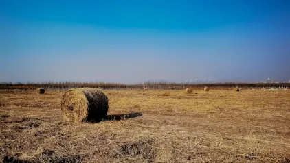 Winzinator Casino App Mobile